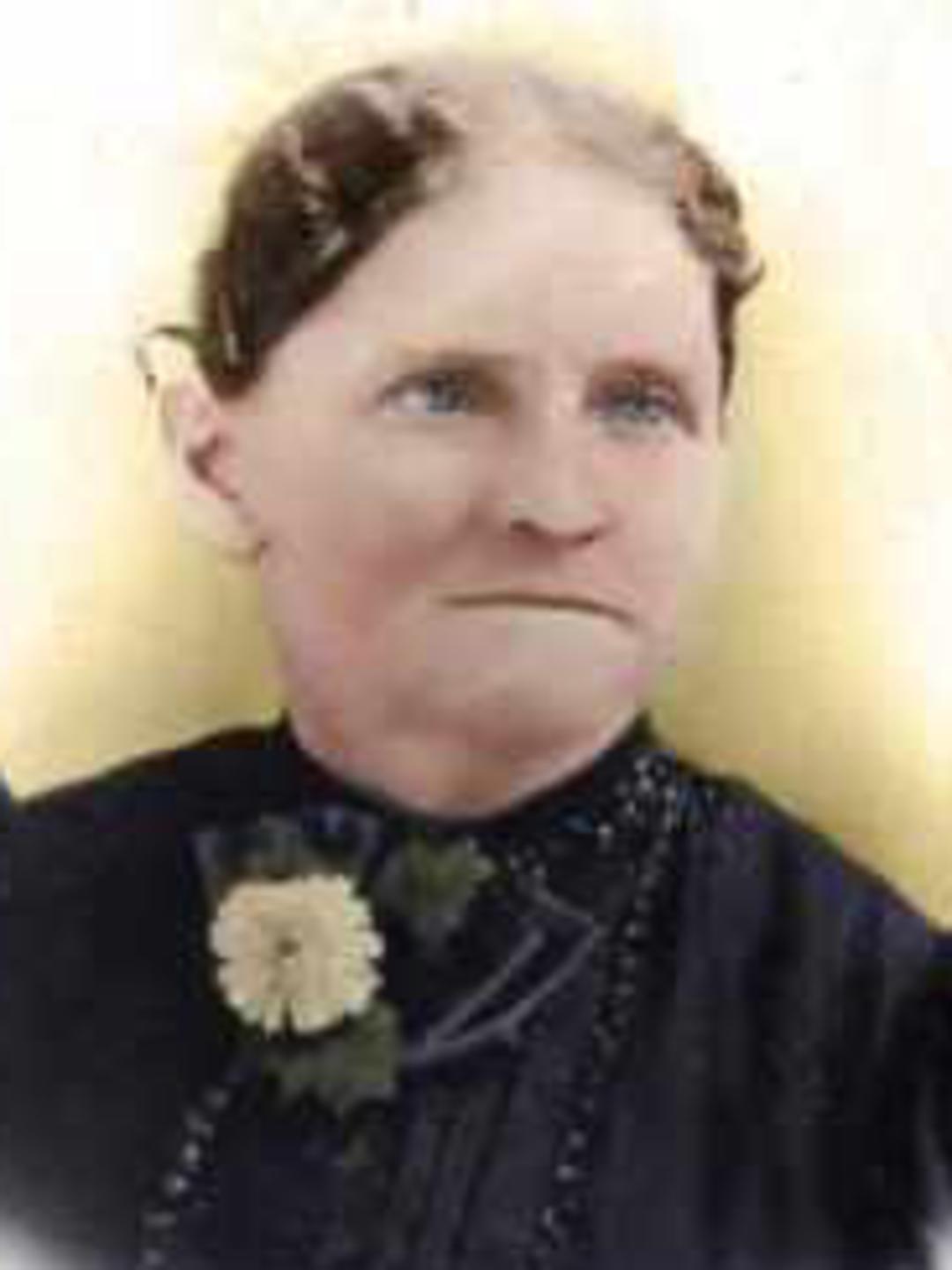 Harriet Betsy Cook (1844 - 1933) Profile